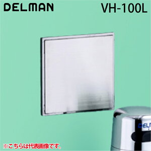 (LINEN[|L)f} VH-100L REBORN({[) ֊ZT[ĐLbg Ot^CvEdr DELMAN oC^ VAITAL
