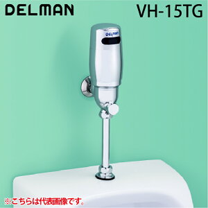 (LINEN[|L)f} VH-15TG tbVboy ֊펩 TG^Cv DC6Vdr(AJ) tbV{[C DELMAN oC^ VAITAL