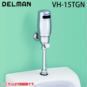 (LINEN[|L)f} VH-15TGN tbVboy ֊펩 TGN^Cv DC6Vdr(AJ) tbV{[C DELMAN oC^ VAITAL