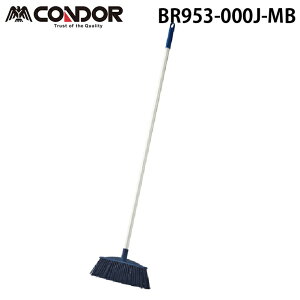 (LINEN[|L)RY BR953-000J-MB Rh JSuF |pi ˂ݎ || A~pCv (s)