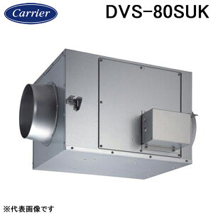 (LINEN[|L){LA DVS-80SUK Xg[g_Ngt@ ` C P100V ŃLA