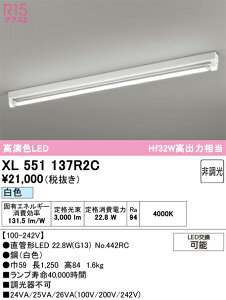 (LINE�N�[�|���L)�I�[�f���b�N XL551137R2C �x�[�X���C�g ODELIC