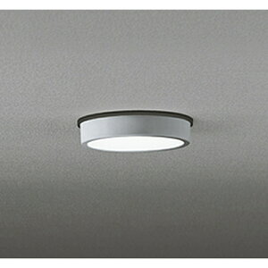 (LINEN[|L)I[fbN OG254519R pV[OCg M100W F }bgVo[ hJ^ ODELIC