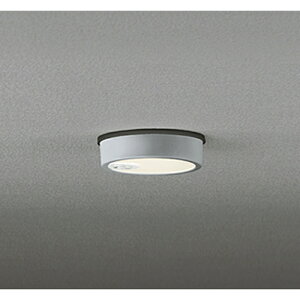 (LINEN[|L)I[fbN OG254538R pV[OCg M60W lZT[ON-OFF^ dF }bgVo[ hJ^ ODELIC