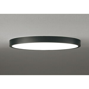 (LINEN[|L)I[fbN OL291413BR LEDV[OCg(tbgv[g/ی^) `12p EF^Cv d`F ubN Rg[[ʔ ODELIC