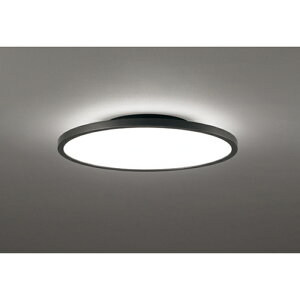 (LINE�N�[�|���L)�I�[�f���b�N OL291620BR LED�V�[�����O���C�g(�t���b�g�v���[�g/�֐ߌ��ؑ�) �`8���p �����E���F�^�C�v �d���`�����F �u���b�N (��p�����R���t��) ODELIC