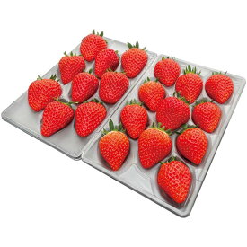 (LINEクーポン有)いただきいちご園 F15-65 福岡県産 いちご食べ比べギフト ギフト 御歳暮 贈り物 (代引不可)