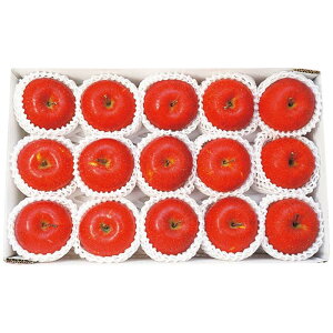 (LINEN[|L)암 쌧Y MBTӂ 3.4kg Ε Mtg (s)