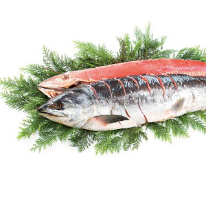 (LINEN[|L)i AR-C17(F) Vpؐg Ε Mtg (s)