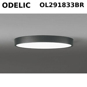 �I�[�f���b�N OL291833BR �t���b�g�v���[�g(�ی`) �����E���F�^ �d���`�����F �`12���p 5,200lm (�R���g���[���[�ʔ�) ODELIC