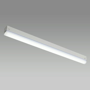 (LINEクーポン有)ホタルクス MMK2101/10-N1 LED多目的灯 単台(トラフ) 形 FL20形1灯相当 昼白色 HotalX