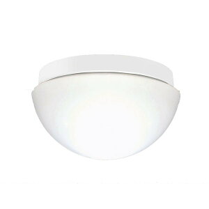 (LINE�N�[�|���L)�z�^���N�X SXM-LE261737N LED���^�V�[�����O���C�g �h�J�E�h���` ��ʓd��60�`1������ �����F
