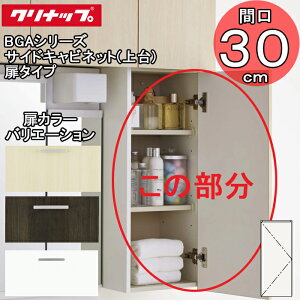 (LINEN[|L)()Nibv ʉϑ BGAV[Y GASB30 TChLrlbg() ^Cv Ԍ30cm (s)