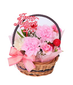 (LINEN[|L)t[bNX PV-1200 vU[uht[AWg sN ̓ v[g 蕨 (s)