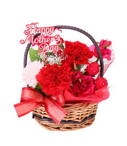 (LINEN[|L)t[bNX PV-1201 vU[uht[AWg [Y ̓ v[g 蕨 (s)