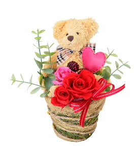 (LINEN[|L)t[bNX PV-1202 vU[uht[AWg [Y ̓ v[g 蕨 (s)