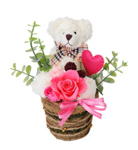 (LINEN[|L)t[bNX PV-1203 vU[uht[AWg sN ̓ v[g 蕨 (s)