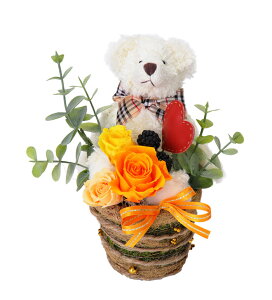 (LINEN[|L)t[bNX PV-1204 vU[uht[AWg CG[ ̓ v[g 蕨 (s)