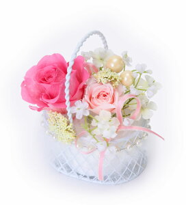 (LINEN[|L)t[bNX PV-1205 vU[uht[AWg sN ̓ v[g 蕨 (s)