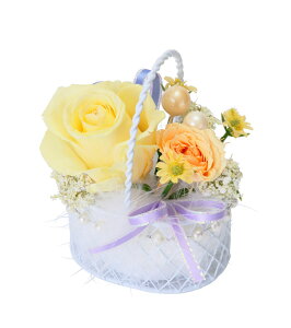 (LINEN[|L)t[bNX PV-1206 vU[uht[AWg CG[ ̓ v[g 蕨 (s)