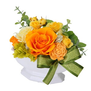 (LINEN[|L)t[bNX PV-1209 vU[uht[AWg CG[ ̓ v[g 蕨 (s)