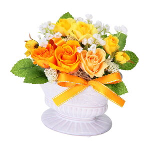 (LINEN[|L)t[bNX PV-1212 vU[uht[AWg CG[ ̓ v[g 蕨 (s)