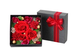 (LINEN[|L)t[bNX PV-1214 vU[uht[AWg BOX^Cv [Y ̓ v[g 蕨 (s)