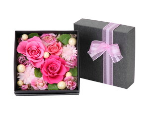 (LINEN[|L)t[bNX PV-1215 vU[uht[AWg BOX^Cv sN ̓ v[g 蕨 (s)