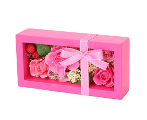 (LINEN[|L)t[bNX PV-1216 vU[uht[AWg BOX^Cv sN ̓ v[g 蕨 (s)