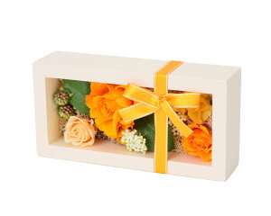 (LINEN[|L)t[bNX PV-1217 vU[uht[AWg BOX^Cv CG[ ̓ v[g 蕨 (s)