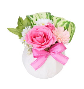 (LINEN[|L)t[bNX PV-1218 vU[uht[AWg sN ̓ v[g 蕨 (s)