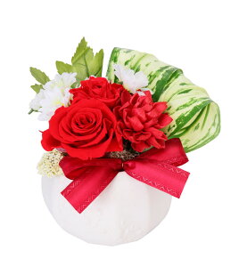 (LINEN[|L)t[bNX PV-1220 vU[uht[AWg [Y ̓ v[g 蕨 (s)