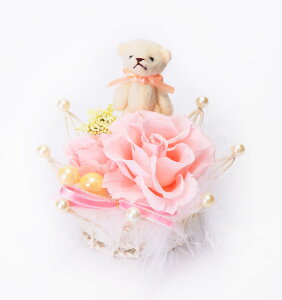 (LINEN[|L)t[bNX PV-1221 vU[uht[AWg sN ̓ v[g 蕨 (s)