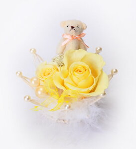 (LINEN[|L)t[bNX PV-1222 vU[uht[AWg CG[ ̓ v[g 蕨 (s)