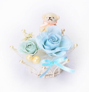 (LINEN[|L)t[bNX PV-1223 vU[uht[AWg u[ ̓ v[g 蕨 (s)