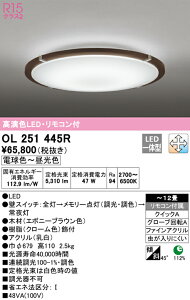 (LINEクーポン有)(送料無料) ODELIC OL251445R シーリングライト LED一体型 電球色〜昼光色 調光・調色 オーデリック