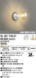(LINEN[|L)() ODELIC OL251715LC1 ^V[OCg LEDv dF  I[fbN