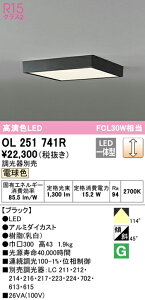 (LINEN[|L)() ODELIC OL251741R ^V[OCg LEĎ^ dF  I[fbN