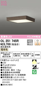 (LINEN[|L)() ODELIC OL251745R ^V[OCg LEĎ^ dF  I[fbN