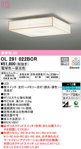 (LINEN[|L)() ODELIC OL291022BCR aΉi LEĎ^ dF`F BluetoothΉ I[fbN