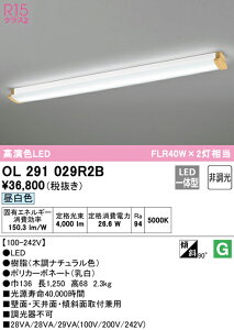 (LINEクーポン有)(送料無料) ODELIC OL291029R2B キッチンライト LED一体型 昼白色 非調光 オーデリック