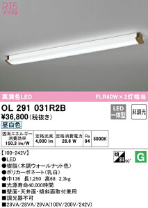 (LINEクーポン有)(送料無料) ODELIC OL291031R2B キッチンライト LED一体型 昼白色 非調光 オーデリック