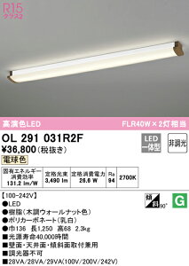 (LINEクーポン有)(送料無料) ODELIC OL291031R2F キッチンライト LED一体型 電球色 非調光 オーデリック