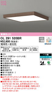 (LINEN[|L)() ODELIC OL291520BR V[OCg LEĎ^ dF`F BluetoothΉ I[fbN