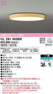 (LINEN[|L)() ODELIC OL291565BR V[OCg LEĎ^ dF`F BluetoothΉ I[fbN