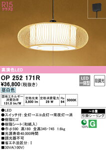 (LINEN[|L)() ODELIC OP252171R y_gCg LEĎ^ F i I[fbN