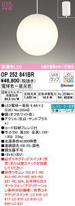 (LINEクーポン有)(送料無料) ODELIC OP252841BR 吹き抜け照明 LEDランプ 電球色〜昼光色 Bluetooth対応 オーデリック