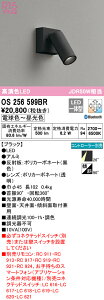 (LINEクーポン有)(送料無料) ODELIC OS256599BR スポットライト LED一体型 電球色〜昼光色 Bluetooth対応 オーデリック