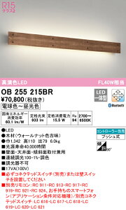 (LINEクーポン有)(送料無料) ODELIC OB255215BR ブラケットライト LED一体型 電球色〜昼光色 Bluetooth対応 オーデリック