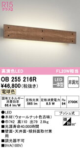 (LINEクーポン有)(送料無料) ODELIC OB255216R ブラケットライト LED一体型 電球色 非調光 オーデリック